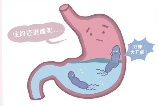【何以解“幽”】 今天就让我们一起来全方面了解一下它的庐山真面目！
