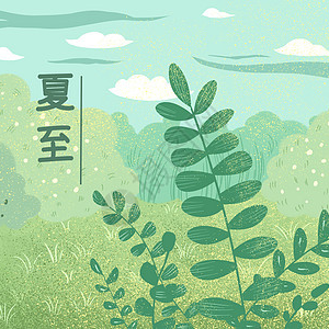 夏至 | 节气养生之道