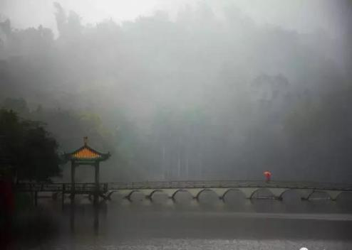 【健康科普】回南天，健脾去湿正当时 